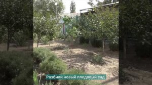 В честь Дня города в Сальске стартовал городской конкурс по благоустройству