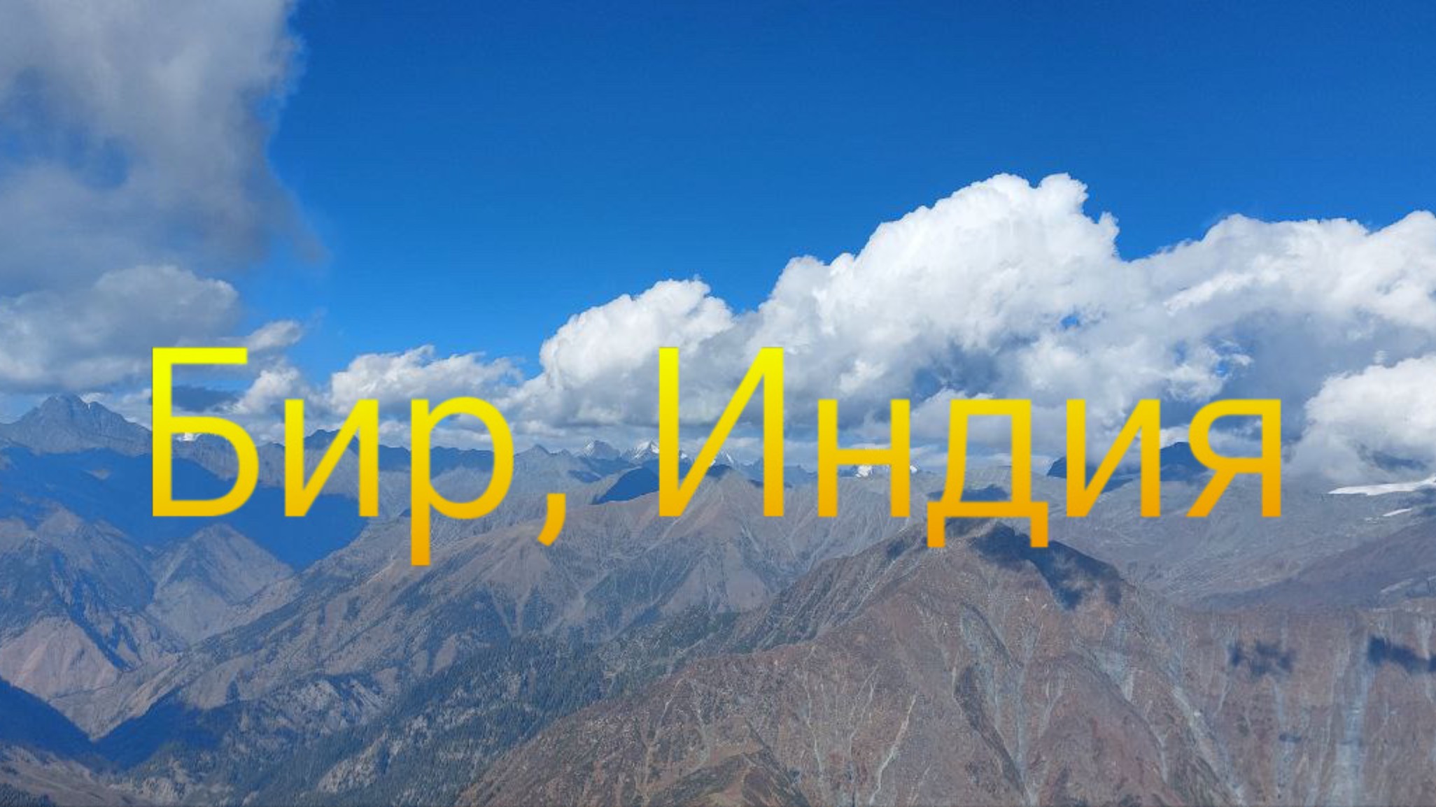 Лётный Бир и пилоты