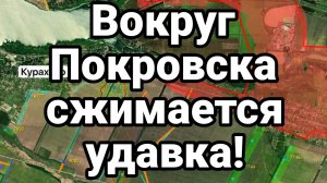 МРИЯ⚡️ 31.10.2024 ТАМИР ШЕЙХ. Вокруг Покровска сжимается удавка Кураховка Кругловка Сводка с фронта