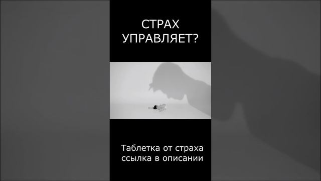 СТРАХ УПРАВЛЯЕТ?   https://t.me/+skFFdgRn-SJmMmEy  #психология  #страх #безстраха  #причинавомне