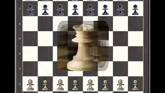 Шахматные монологи. Ферзь