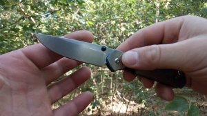 Острая малышка на каждый день-Chris Reeve Small Sebenza 21 Bamboo.