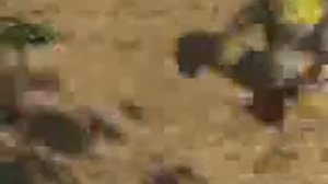 перевод гоблина