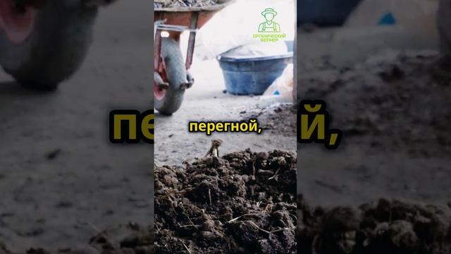 как востановить почву