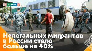 Число нелегальных мигрантов в России выросло в России на 40% с начала года