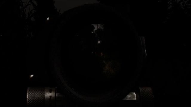 Stalker Anomaly 4k gameplay смотреть онлайн