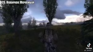 50 вариантов меченого