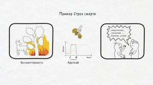 Психосоматика ГНМ доктора Хамера. Часть 2 #гнм #психосоматика #хамер #здоровье #рак #онкология