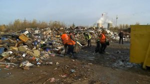 Многогектарную свалку обнаружили в деревне Челобитьево