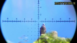 TEST KEJERNIHAN STALKER HD 3-18x50 SFIR FFP RFR