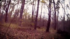 Пикник на обочине