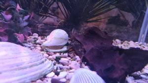 Аквариум 35 литров