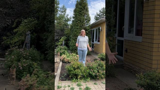 Спирея японская, основные правила обрезки