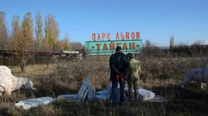 Львы разбили мраморную лавку посреди Саванны !