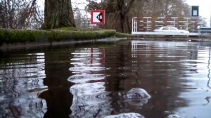 DUNLOP Green Flash in puddles