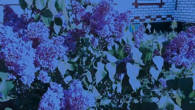 Над рекою закат разгорается