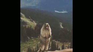 скример