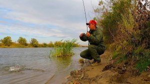 ОСЕННЯЯ ВОБЛА ЩУКИ И СУДАКИ В этот раз клевала вся рыба что ловил Рыбалка в Астрахани в октябре