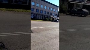 30.08.2020 г. станица Северская, ул. Петровского. Есть такие птицы трясогузки!