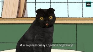 Новый московский медицинский стандарт | Кот Бублик