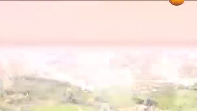 Специальный проект  Код Дарвина  Проклятье обезьян