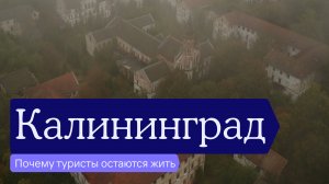 Калининград: почему туристы остаются тут жить