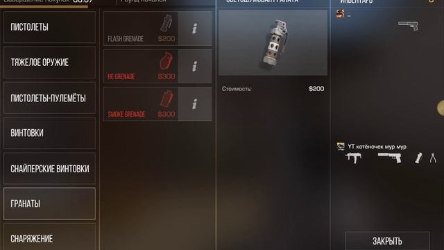 ИГРАЮ В STANDOFF 2 (ПРОБНАЯ ВЕРСИЯ) Котёночек мур мур играет в STANDOFF 2 в описании важная новость смотреть онлайн