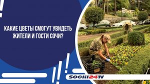 РАДУЮТ ГЛАЗ: В СОЧИ ПРИСТУПИЛИ К ПОДГОТОВКЕ КЛУМБ К ЗИМНЕМУ СЕЗОНУ!