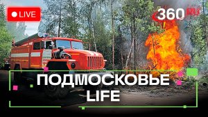 Будни лесных пожарных и защита от осеннего инсульта: Подмосковье LIFE