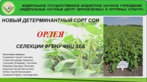 Детерминантный сорт сои "ОРЛЕЯ"