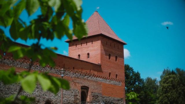 "ЛидаМедиаКомпания" запускает праздничный флешмоб «Лида, тебя я всей земле покажу!»