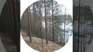 Корпоратив на квадроциклах от первого лица_2024-10-31_10-10-35