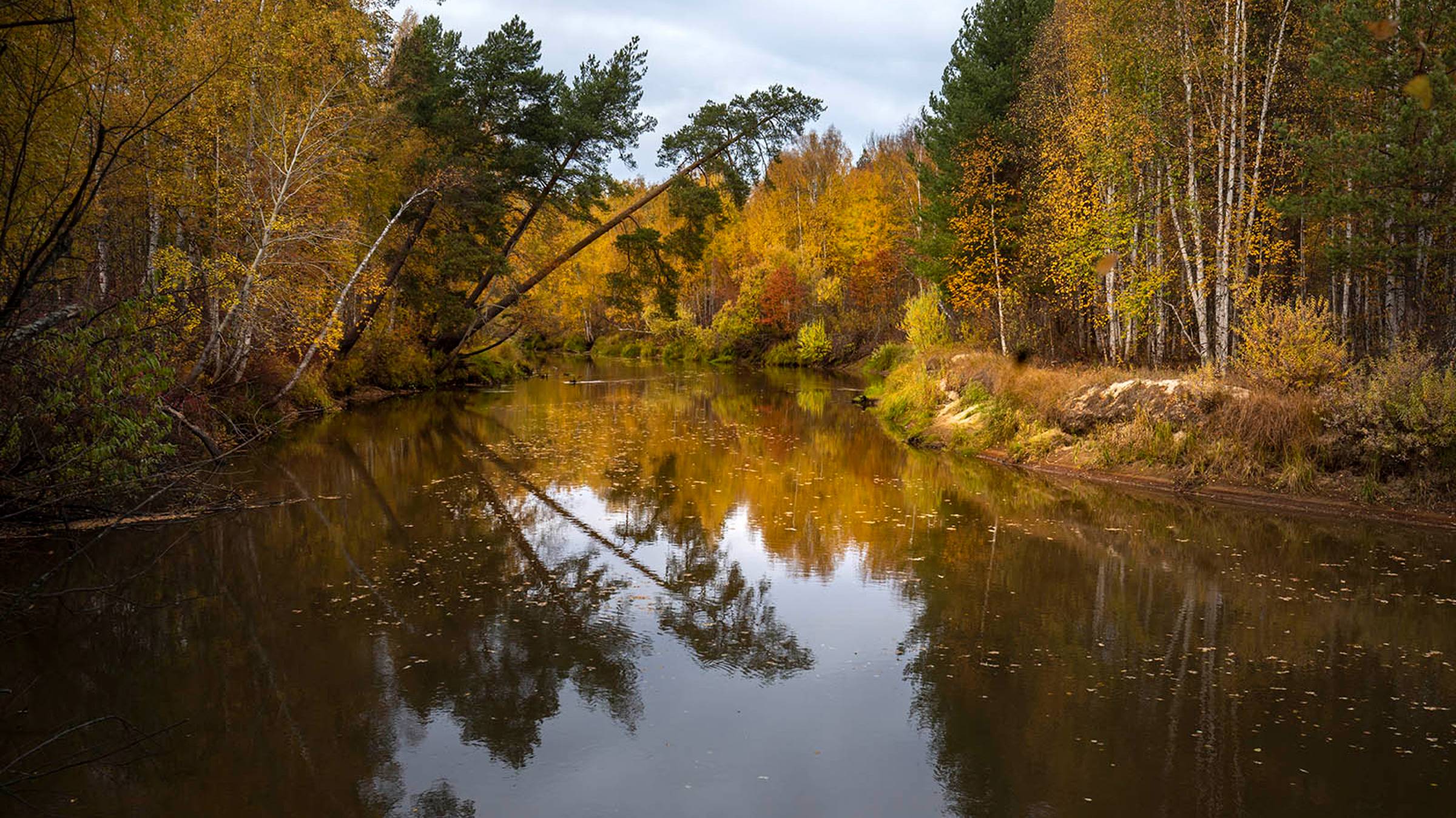Югорская осень 2024 смотреть онлайн