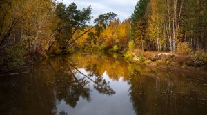 Югорская осень 2024