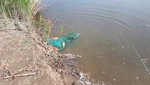 Рыбалка на Мёше (Рождественно) 28.05.19г.