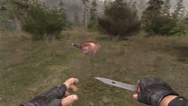 S.T.A.L.K.E.R. NLC 7 3.9. #9. Поиски друга Бармена! смотреть онлайн