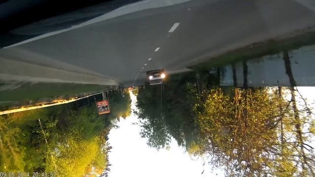 Голубь пешеход смотреть онлайн