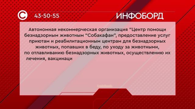 Некоммерческая организация "Центр помощи безнадзорным животным "Собакафан"