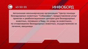 Некоммерческая организация "Центр помощи безнадзорным животным "Собакафан"