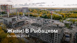 «Живи! В Рыбацком» / Октябрь 2024