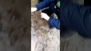 Застрял в грязи