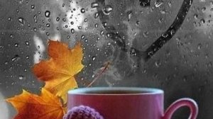 Добрый День - Дня хорошего желаю