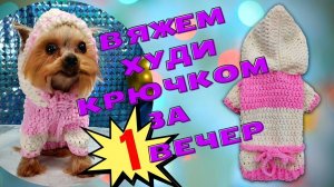 Вяжем худи (свитер) для собаки крючком из плюшевой пряжи