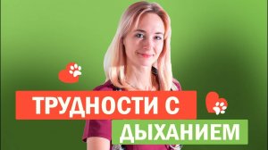 Трудности с дыханием у собаки. Чем помочь дома?