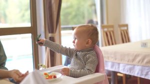 Круизы на теплоходах компании "Созвездие"