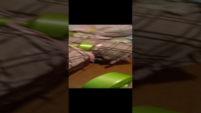 БОЙ #