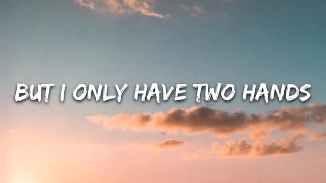 Avicii - Wake Me Up (Lyrics)