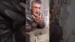 Аббоси Гарми 2018