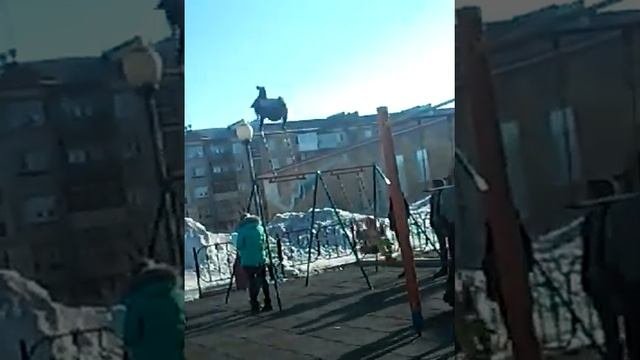 Промокли