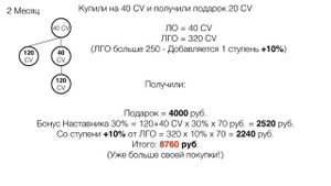 Рост доходов в компании AGenYZ  (на примере 1+1)